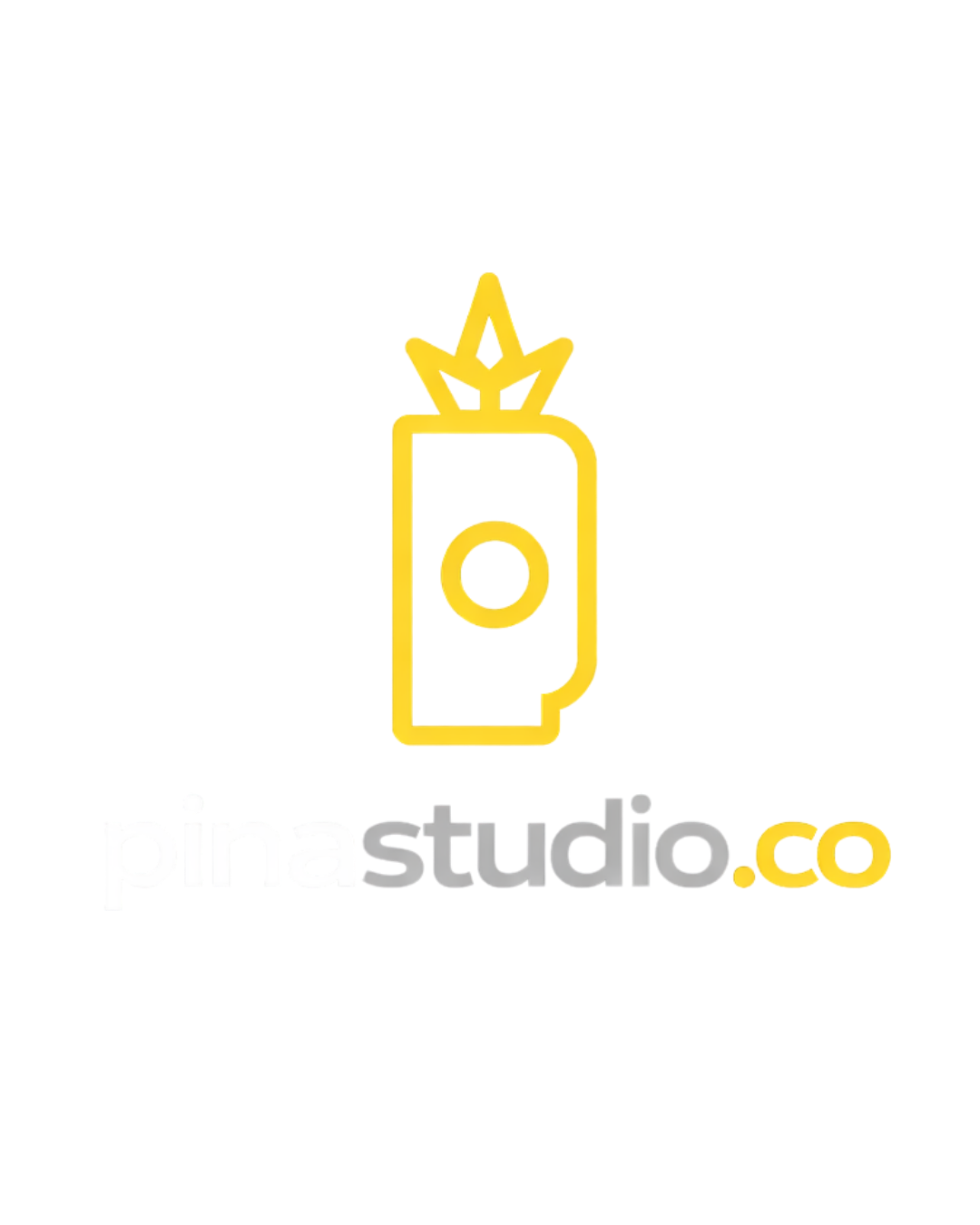 Piña Ice Studio
